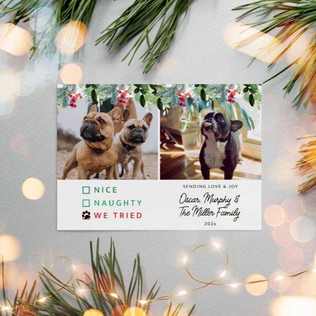 Cartes Pour Fêtes Annuelles Jolie aquarelle Animaux de compagnie Photo Noël (Pet Photo Christmas Card)
