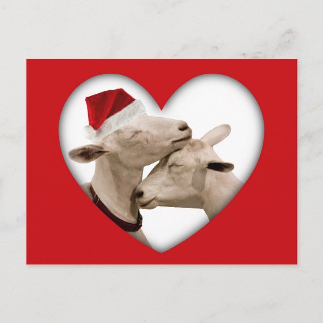 Cartes Pour Fêtes Annuelles Jolie chèvre de Noël Couple (Devant)
