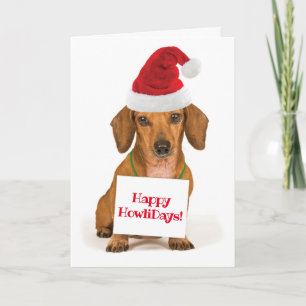 Cartes Pour Fêtes Annuelles Jolie Dachshund avec Santa Hat Joyeux HowliDays