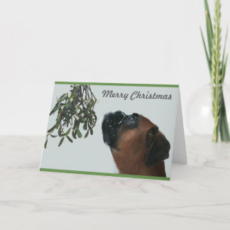 Cartes Pour Fêtes Annuelles Jolie de chien de boxe avec Mistletoe