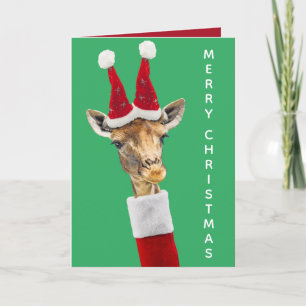 Cartes Pour Fêtes Annuelles Jolie girafe de Noël avec chapeau et col roulé