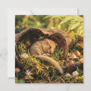 Cartes Pour Fêtes Annuelles Jolie loir hazel endormi à l'intérieur d'une botte