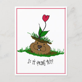 Cartes Pour Fêtes Annuelles Jolie marmotte à la recherche de printemps