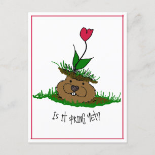 Cartes Pour Fêtes Annuelles Jolie marmotte à la recherche de printemps