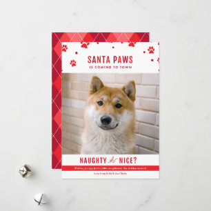 Cartes Pour Fêtes Annuelles Jolie Naughty ou Nice Chien Photo de Noël