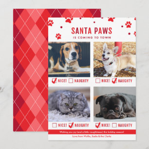 Cartes Pour Fêtes Annuelles Jolie Naughty ou Nice Four Pet Photo de Noël