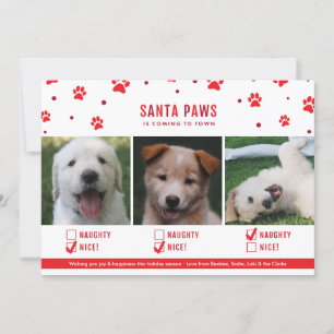 Cartes Pour Fêtes Annuelles Jolie Naughty ou Nice Trois Chiens Photo de Noël