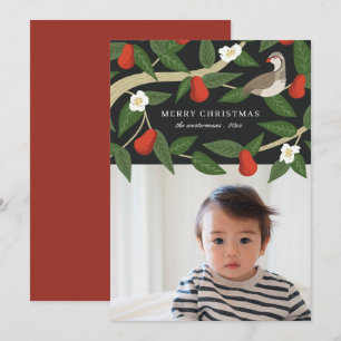 Cartes Pour Fêtes Annuelles Jolie Perdrix dans un Poirier   Photo Noël