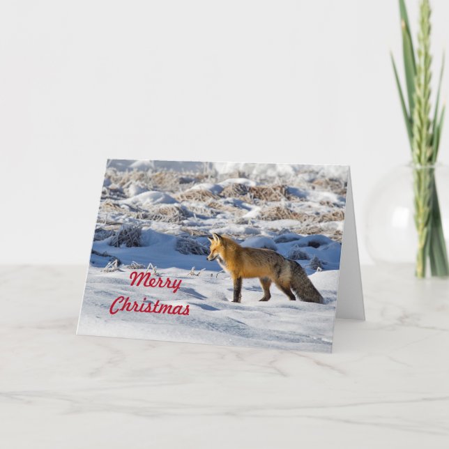 Cartes Pour Fêtes Annuelles Jolie photo de neige Fox Noël (Devant)