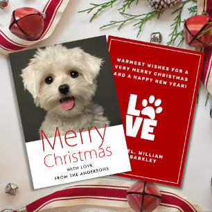 Cartes Pour Fêtes Annuelles Jolie photo pour animaux de compagnie de Noël