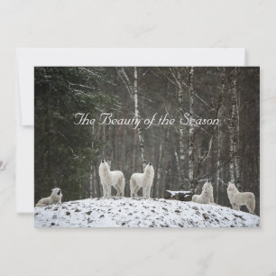 Cartes Pour Fêtes Annuelles Jolie scène de neige Nature Wolves Personnaliser l