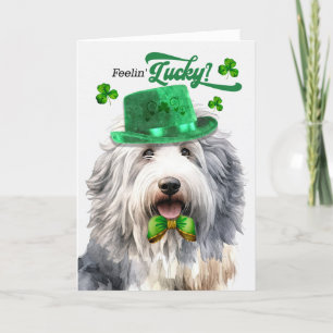 Cartes Pour Fêtes Annuelles Jolie Sheepdog Feelin' Lucky St Patrick's Day