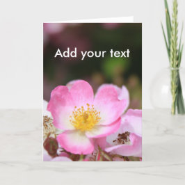 Cartes Pour Fêtes Annuelles jolies fleurs de roses sauvages roses pour dames