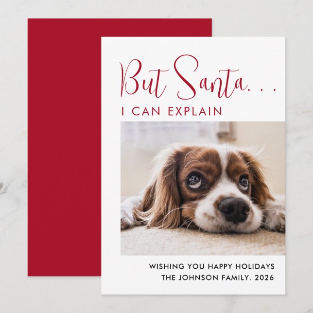 Cartes Pour Fêtes Annuelles Jolies Vacances Pet Photo (Devant / Derrière)