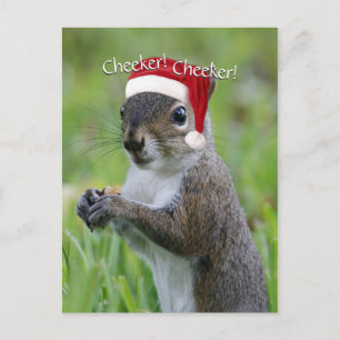 Cartes Pour Fêtes Annuelles Jolly Florida Père Noël SquirrelMC portant le chap