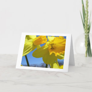 Cartes Pour Fêtes Annuelles jonquilles jumelles