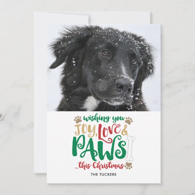 Cartes Pour Fêtes Annuelles Joy Love Paws Chien de Noël Photo (Devant)