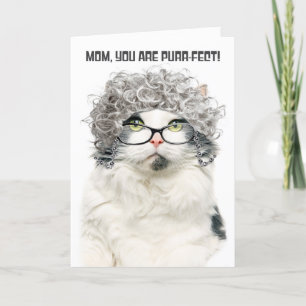 Cartes Pour Fêtes Annuelles Joyeuse Fête des Mères Drôle de vieux chat avec de
