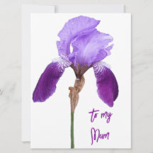 Joyeuse fête des mères iris mauve fleurie