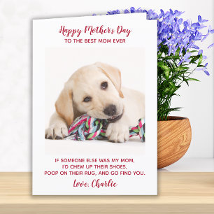 Cartes Pour Fêtes Annuelles Joyeuse Fête des mères Meilleure Maman Jamais Pet