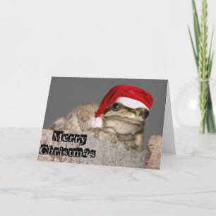 Cartes Pour Fêtes Annuelles Joyeuse grenouille de Noël