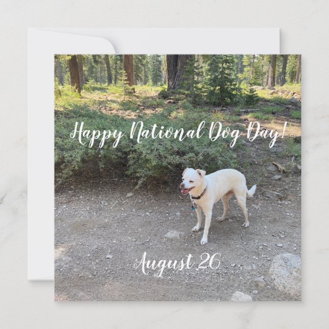 Cartes Pour Fêtes Annuelles Joyeuse Journée nationale du chien !  (Devant)