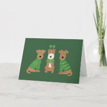 Joyeuse Saint-Patrick Chiens Welsh Wire Fox Terrie
