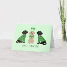 Joyeuse Saint-Patrick Labrador Retriever Chiens