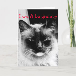 Cartes Pour Fêtes Annuelles Joyeuse Saint-Valentin Chat Froncé
