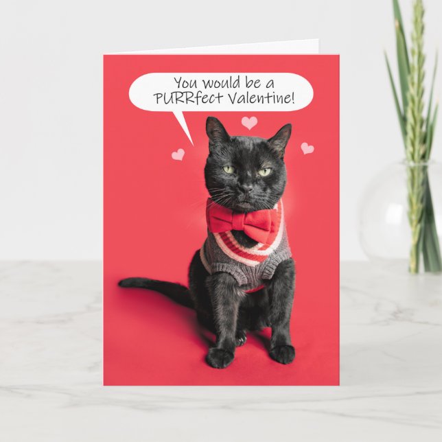 Cartes Pour Fêtes Annuelles Joyeuse Saint-Valentin Chat Mignon Déguisé Humour (Devant)