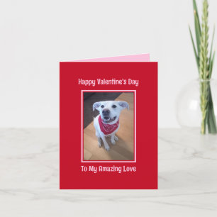 Cartes Pour Fêtes Annuelles Joyeuse Saint-Valentin Chien Mignon Sourire Rouge