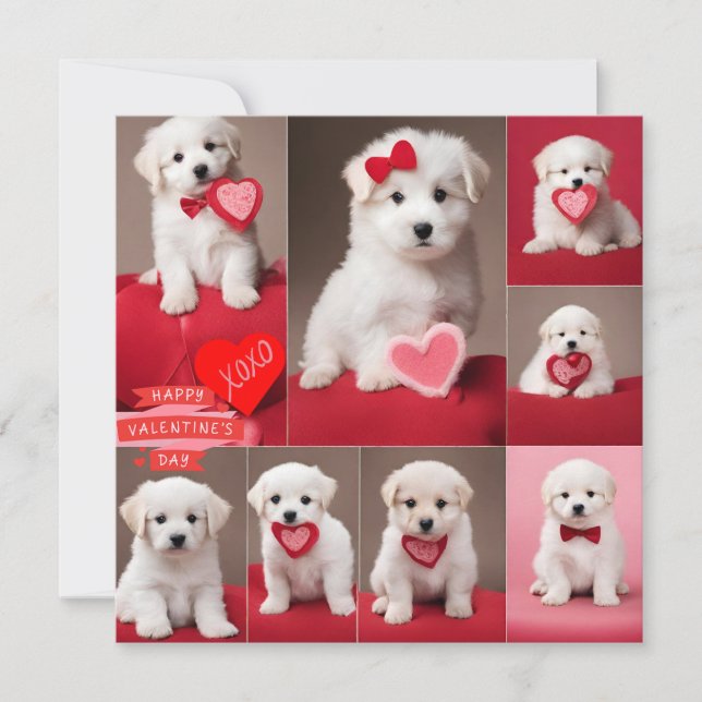 Cartes Pour Fêtes Annuelles Joyeuse Saint-Valentin Chiens  (Devant)