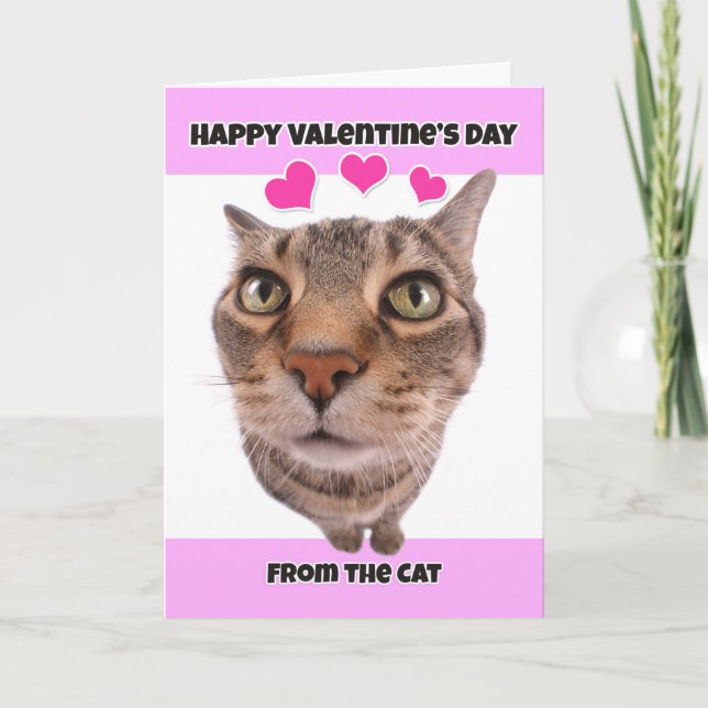 Cartes Pour Fêtes Annuelles Joyeuse Saint-Valentin de la part de l'humour féli (Devant)