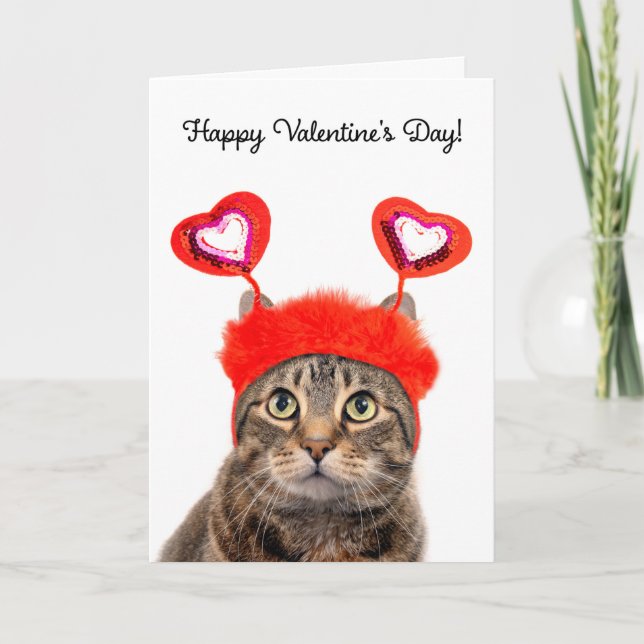 Cartes Pour Fêtes Annuelles Joyeuse Saint-Valentin pour tous les chats tigrés  (Devant)