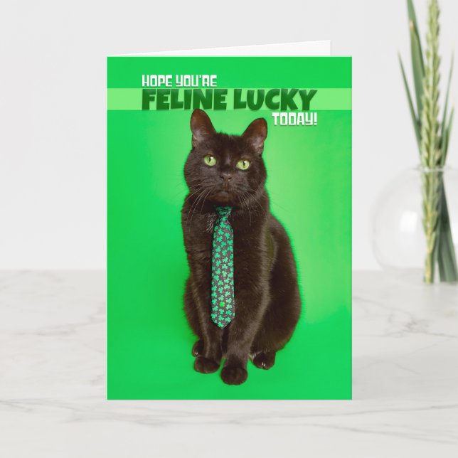 Cartes Pour Fêtes Annuelles Joyeuse St Patrick Day Drôle Chat dans Trèfle (Devant)