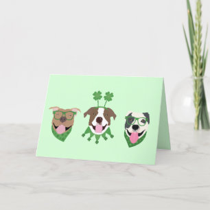 Cartes Pour Fêtes Annuelles Joyeuse St Patrick Pit Bull Dogs