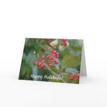 Joyeuses Fêtes : Baies Rouges
