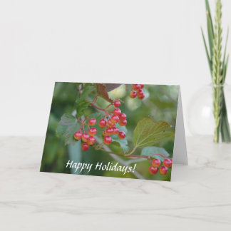 Cartes Pour Fêtes Annuelles Joyeuses Fêtes : Baies Rouges