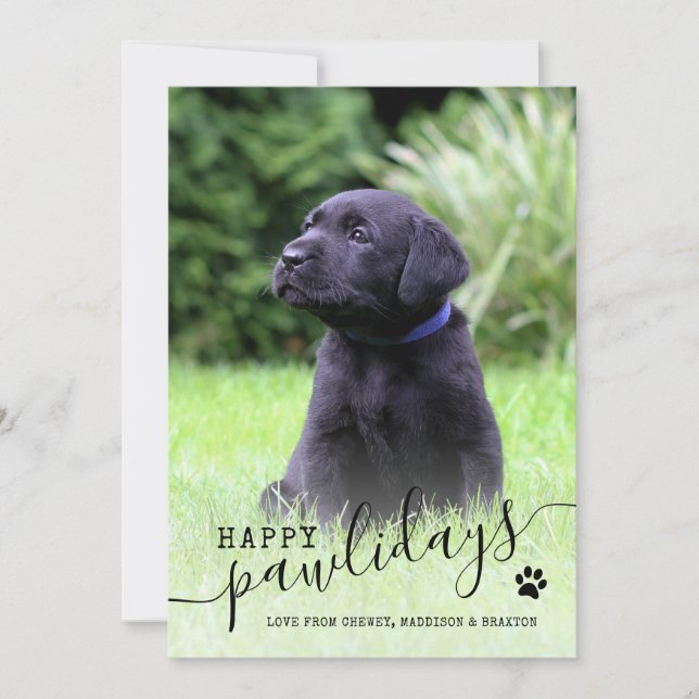 Cartes Pour Fêtes Annuelles Joyeuses Fêtes de fin d'année Chien Photo Moderne  (Devant)