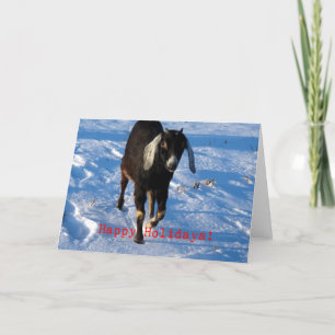 Cartes Pour Fêtes Annuelles Joyeuses fêtes de la chèvre nubienne