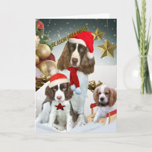 Cartes Pour Fêtes Annuelles Joyeuses Fêtes d'épagneul et de chiot de springer
