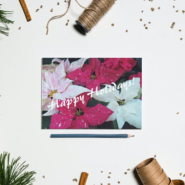Cartes Pour Fêtes Annuelles Joyeuses fêtes Poinsettias (In Situ)