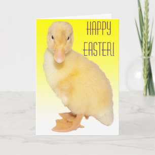 Cartes Pour Fêtes Annuelles Joyeuses Pâques Photographie de Caneton Jaune Ador