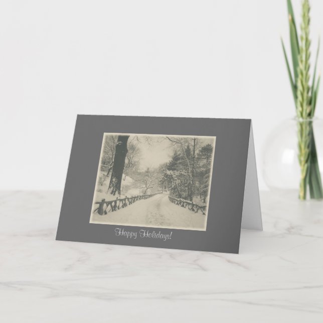 Cartes Pour Fêtes Annuelles Joyeuses vacances - Central Park Neige d'hiver (Devant)
