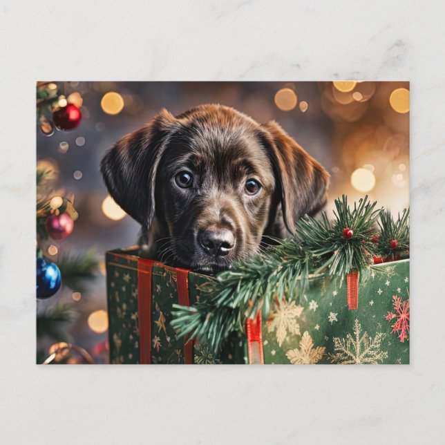Cartes Pour Fêtes Annuelles Joyeuses Vacances Cute Chocolate Lab Puppy (Devant)