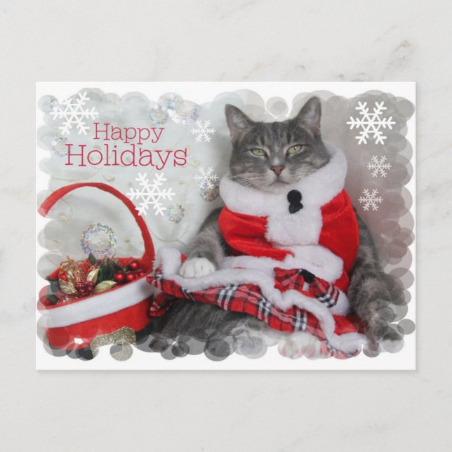 Cartes Pour Fêtes Annuelles Joyeuses vacances d'hiver avec chat (Devant)