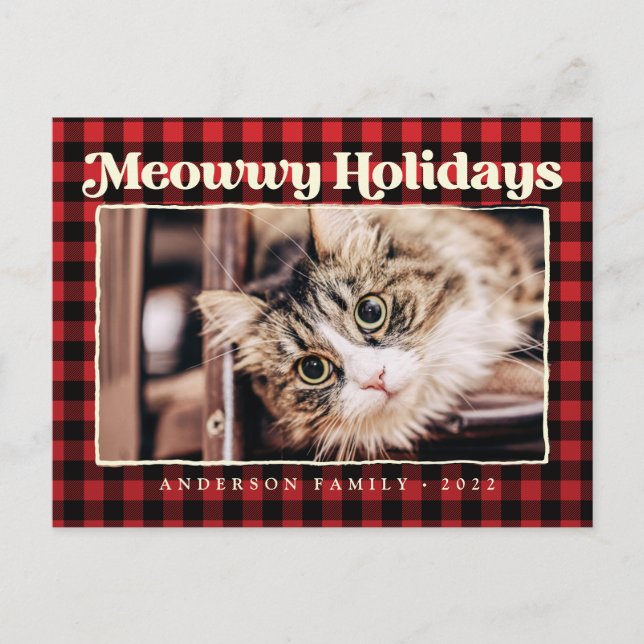 Cartes Pour Fêtes Annuelles Joyeuses Vacances Moderne Plaid Funny Animaux de c (Devant)