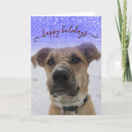 Cartes Pour Fêtes Annuelles Joyeuses vacances pour animaux domestiques