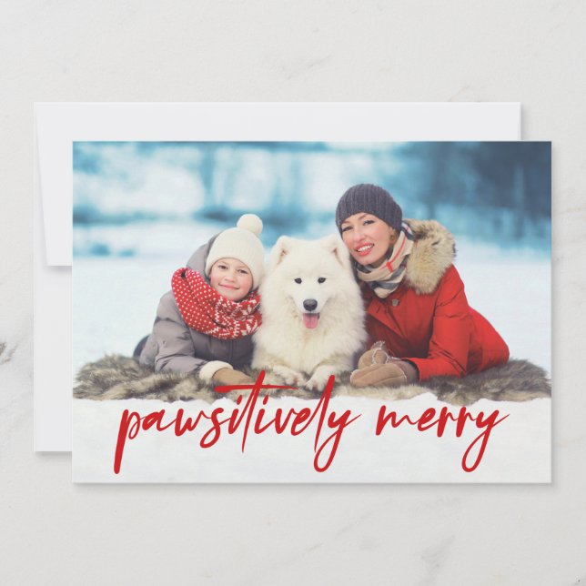 Cartes Pour Fêtes Annuelles Joyeux 3 Photo Pet (Devant)