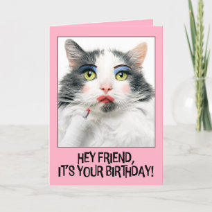 Cartes Pour Fêtes Annuelles Joyeux Anniversaire Ami Funny Chat dans Make Up